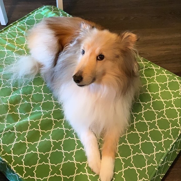 Fur. Help with medical bills.All items marked down - Picture 2 of 2